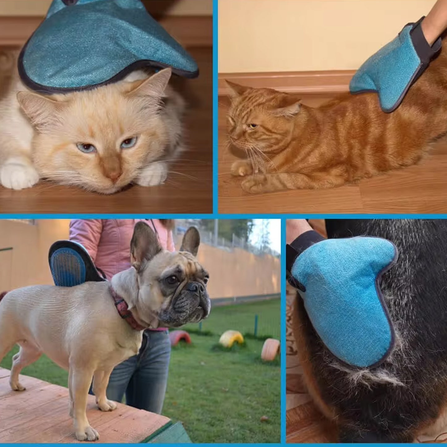 Pet grooming glove deshedding tool mitt used on a cat and dog, showing effective fur removal and gentle grooming.